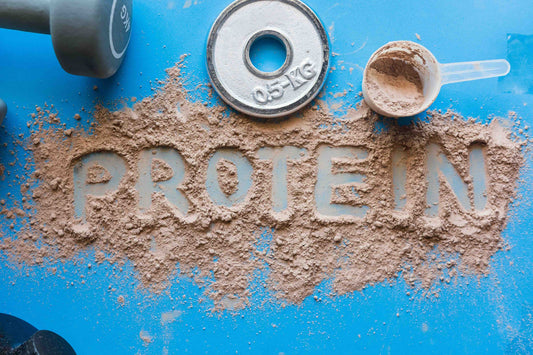 Protein: warum TORINO den Unterschied macht